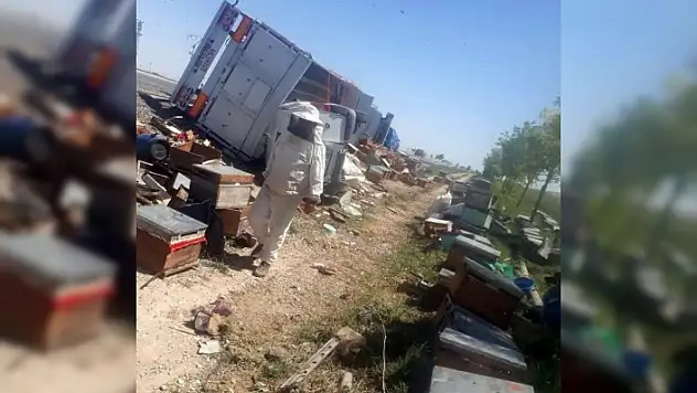 Muğlalı Arıcılardan Kaza Yapan Erzurumlu Arıcıya Yardım Eli