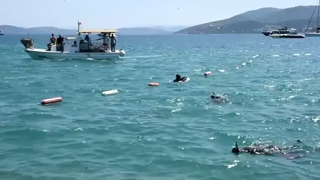Bodrum'da Deniz Dibi Temizliği Yapıldı