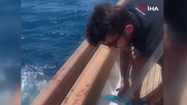Bodrum'da Denizin Ortasında Çöp Torbalarıyla Karşılaştılar