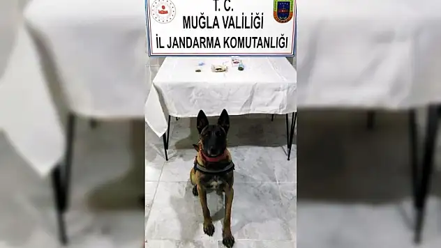 Yatağan'daki Yol Kontrolünde Esrar Ele Geçirildi