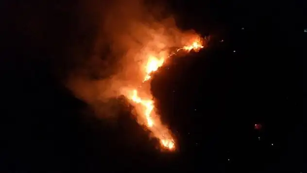 Didim'deki Yangında Son Durum!