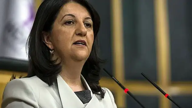 HDP Eş Genel Başkanı Pervin Buldan'dan Yangın Açıklaması