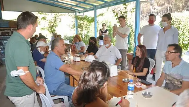 Muğla'da Orman Yangınlarının Arıcılık Sektörüne ve Çam Balı Üretimine Etkileri Araştırılıyor