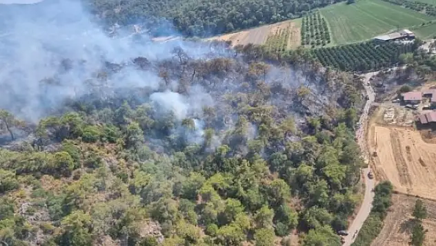 Muğla Yangınlarında Son Durum