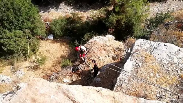 2 Gündür Bodrum'daki Kayalıklarda Mahsur Kalan Keçiler Kurtarıldı