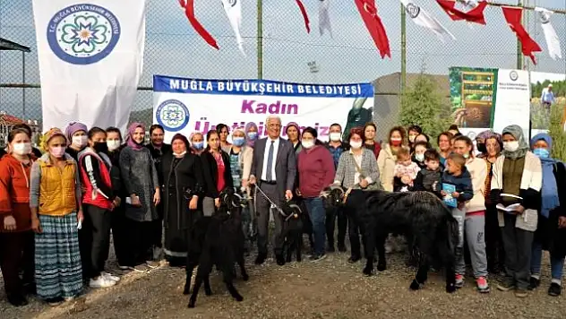Büyükşehir Belediyesi'nden Ula'lı Kadın Üreticilere Kıl Keçisi Desteği
