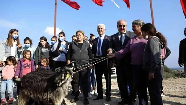 Muğla'da Kadın Üreticilere Kıl Keçisi Dağıtımı Sürüyor