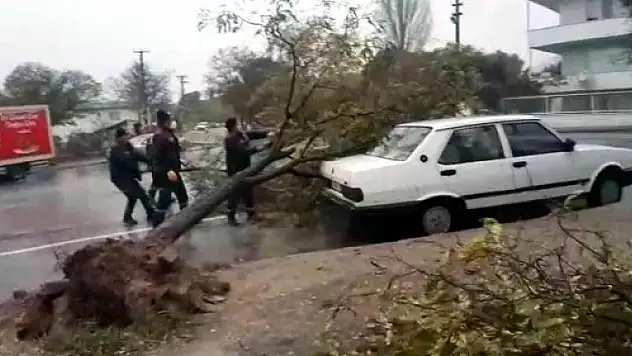 Menteşe'deki Fırtınada Ağaç Kökünden Söküldü, Aracın Üzerine Devrildi