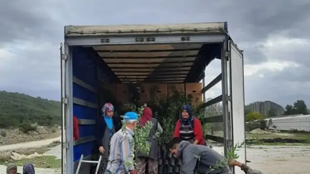 Muğla ve Manisa'dan Azerbaycan'a İhracat!