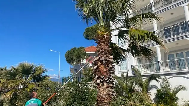 Milas Belediyesi, Çalışmalarına Devam Ediyor
