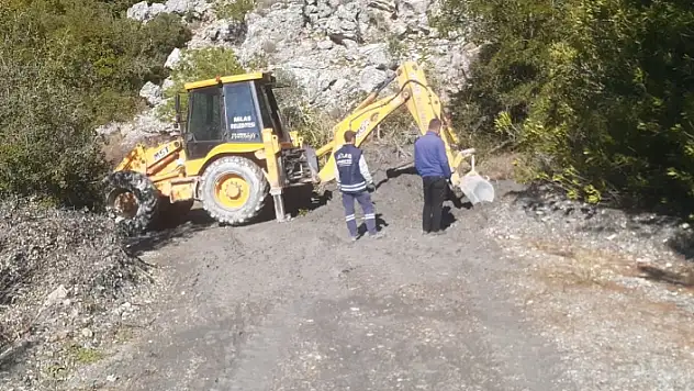 Milas Belediyesi'nin Çalışmaları Devam Ediyor