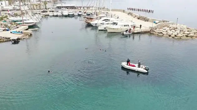 Bodrum'da Öğrenciler Kıyıyı, Dalgıçlar Denizi Temizledi