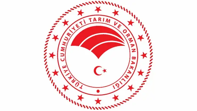 Tarım ve Orman Bakanlığından 'İthal Buğday' Açıklaması