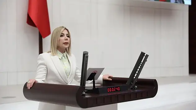 AK Partili Milletvekili Gökcan: 'HDP Şiddetin Kendisidir'