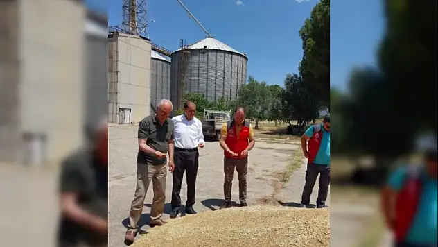 Milas TMO Hububat Alımlarına Başladı