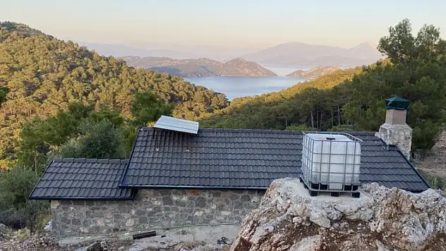 HABER48 GÜNDEME TAŞIDI, DALAMAN ORMAN İŞLETME MÜDÜRLÜĞÜ HAREKETE GEÇTİ!