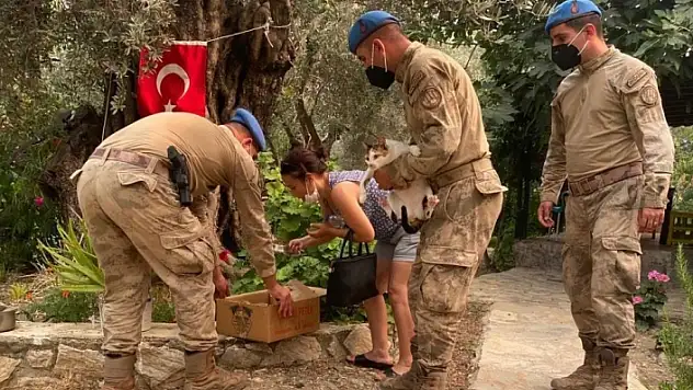 Jandarma, Datça'daki Yangın İçin Topyekün Seferber Oldu