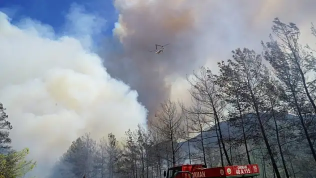 Marmaris Orman Yangını Son Durum Raporu Yayımlandı