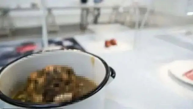Dünyanın En İğrenç Yemekleri Müzesinde Türkiye'de Yapılan Bir Yemek de Var!