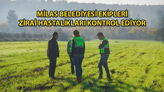 Milas Belediyesi Hibe Destekli Buğday Tarlalarını İnceliyor