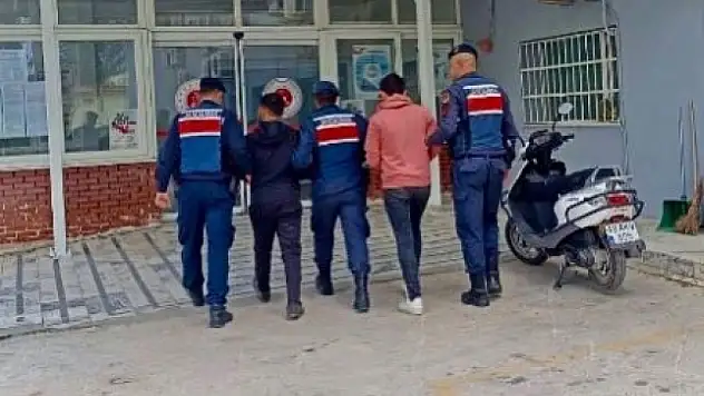 ZEYTİNYAĞI HIRSIZLARI JASAT TARAFINDAN YAKALANDI