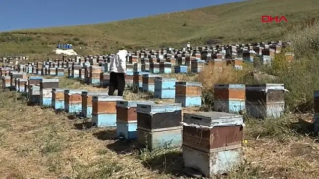 DALAMAN'DAN HAKKARİ'YE ARICILIK YAPMAYA GİDİYORLAR
