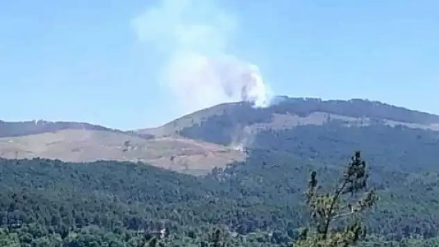KAVAKLIDERE'DE ORMAN YANGINI