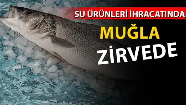 MUĞLA SU ÜRÜNLERİ İHRACATINDA ZİRVEYE ULAŞTI!
