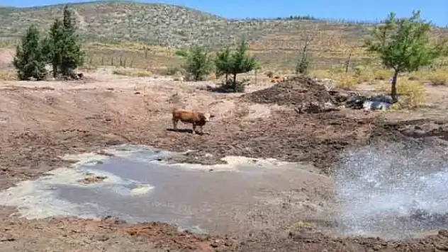 BODRUM BELEDİYESİ HAYVAN YAŞAM ALANLARINA SU TAKVİYESİ YAPIYOR