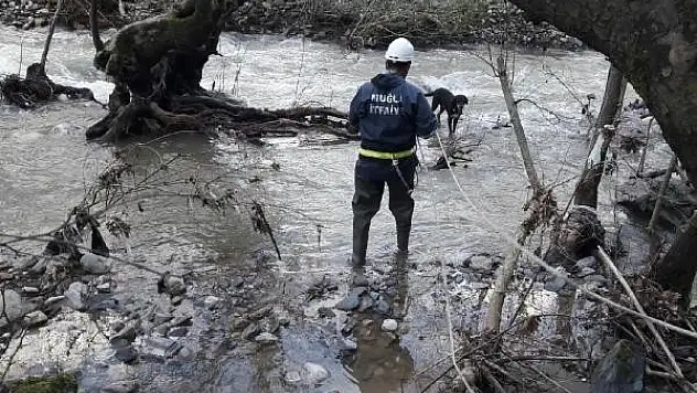 Yatağan'da Derede Mahsur Kalan Köpekler Kurtarıldı