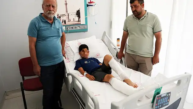 Köyceğiz'de sokak köpeği saldırısına uğrayan çocuğun ailesi ateş püskürdü