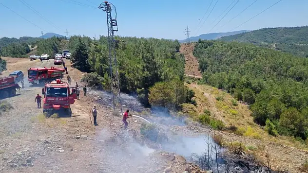 Marmaris'te orman yangını! Büyümeden söndürüldü
