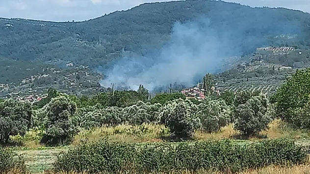 Menteşe'de yangın alarmı! Söndürme çalışmaları başladı
