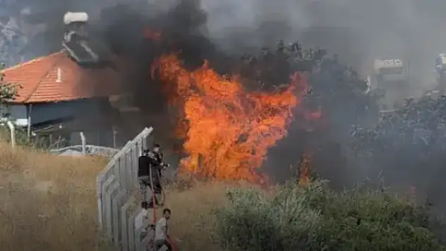 Milas'ta makilik alanda çıkan yangın zeytinlikleri kül etti