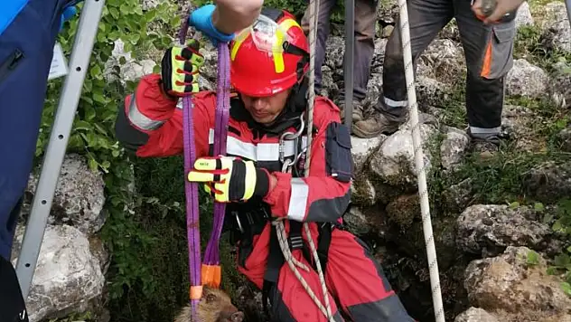 Muğla'da Bayram Mesaisi: 4 Günde 121 Olaya müdahale!