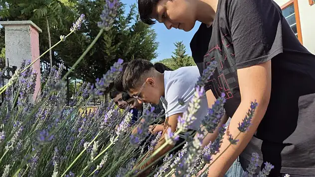 Muğla Gençlik Merkezi gönüllüleri lavanta hasadında buluştu