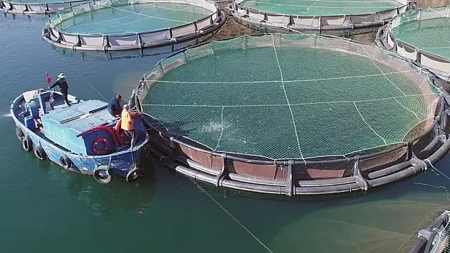 Muğla ihracatta Türkiye şampiyonu oldu