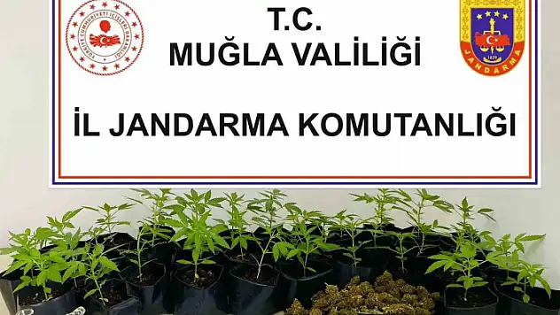 FETHİYE UYUŞTURUCU OPERASYONUNA YOL VERMEDİ