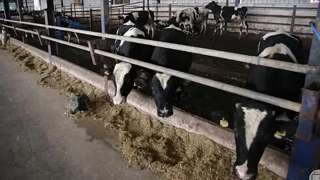 BURSALI İKİ KARDEŞ UCUZ ETİN FORMÜLÜNÜ BULDU