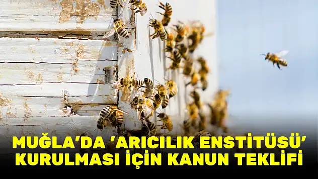 MUĞLA'DA 'ARICILIK ENSTİTÜSÜ' KURULMASI İÇİN KANUN TEKLİFİ