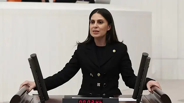 ÖZCAN'MUĞLA'YA ARICILIK ENSTİTÜSÜ KURULMALIDIR'