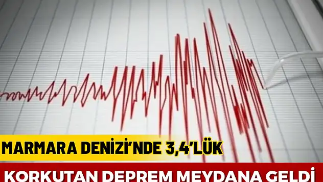 MARMARA DENİZİ'NDE KORKUTAN DEPREM