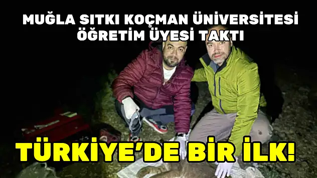 MUĞLA SITKI KOÇMAN ÜNİVERSİTESİ ÖĞRETİM ÜYESİ TAKTI… TÜRKİYE'DE BİR İLK!