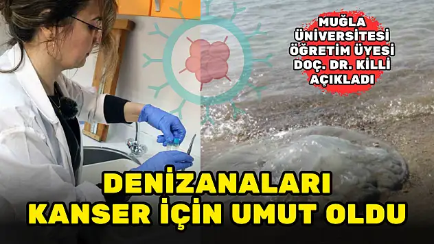 MUĞLA ÜNİVERSİTESİ AÇIKLADI! DENİZANALARI KANSER İÇİN UMUT OLDU