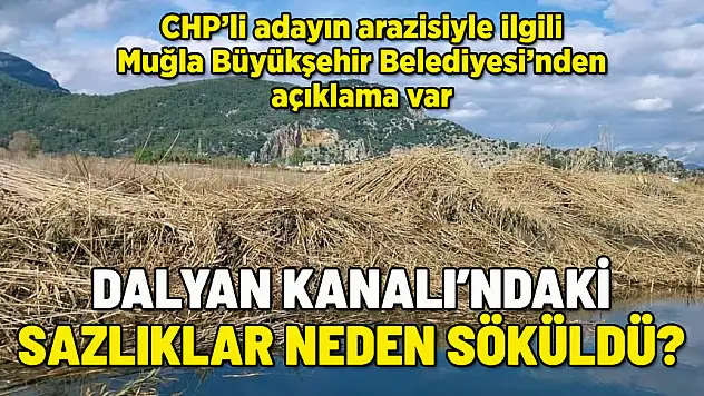 MUĞLA BÜYÜKŞEHİR BELEDİYESİ'NDEN DALYAN KANALI AÇIKLAMASI! SAZLIKLAR NEDEN SÖKÜLDÜ?