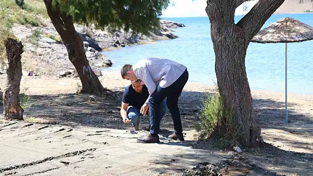 BODRUM BELEDİYESİ PLAJLARA EL ATTI!