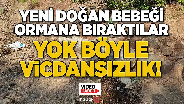 YENİ DOĞAN BEBEĞİ ORMANA BIRAKTILAR... YOK BÖYLE VİCDANSIZLIK!