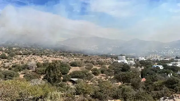 Bodrum'da maki yangını: 1 saat süren yoğun müdahaleyle kontrol altına alındı