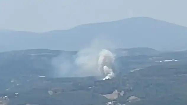Yatağan'da çıkan orman yangınına ekipler müdahale ediyorlar
