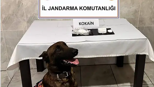 Yatağan'da yolcu otobüsünde 290 gram yasaklı madde ele geçirildi